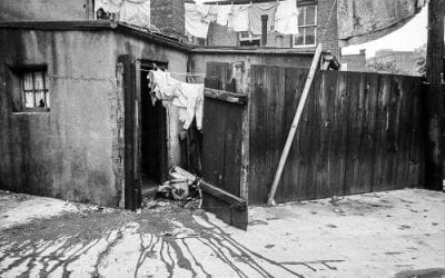 Alleys and Backyard Housing