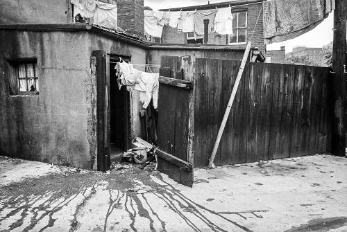 Alleys and Backyard Housing