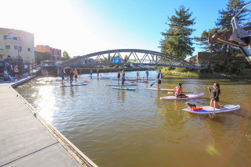 Petaluma River Coming Back to Life