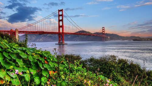 Land Use Profile: San Francisco